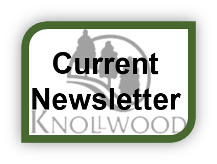 A green frame with the words " current newsletter " in it.