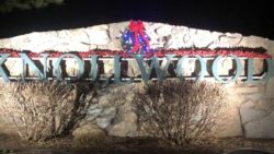 A sign that says hollywood with some bushes in the background