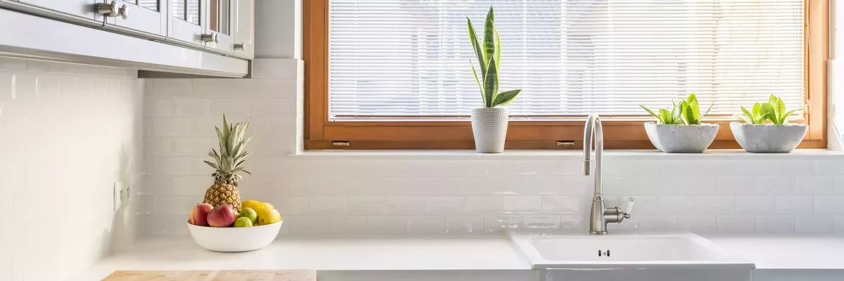 tidy white kitchen