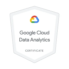 Google Data Analytics Professional Certificate